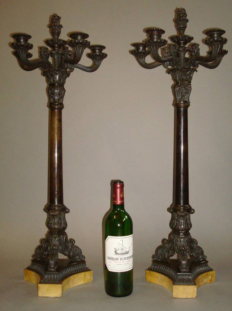 French Good Pair of Charles X Bronze Candelabra of Large Proportions