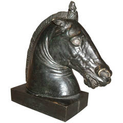 19th Century Bronze Sculpture of the 'Medici Riccardi' Horse's Head