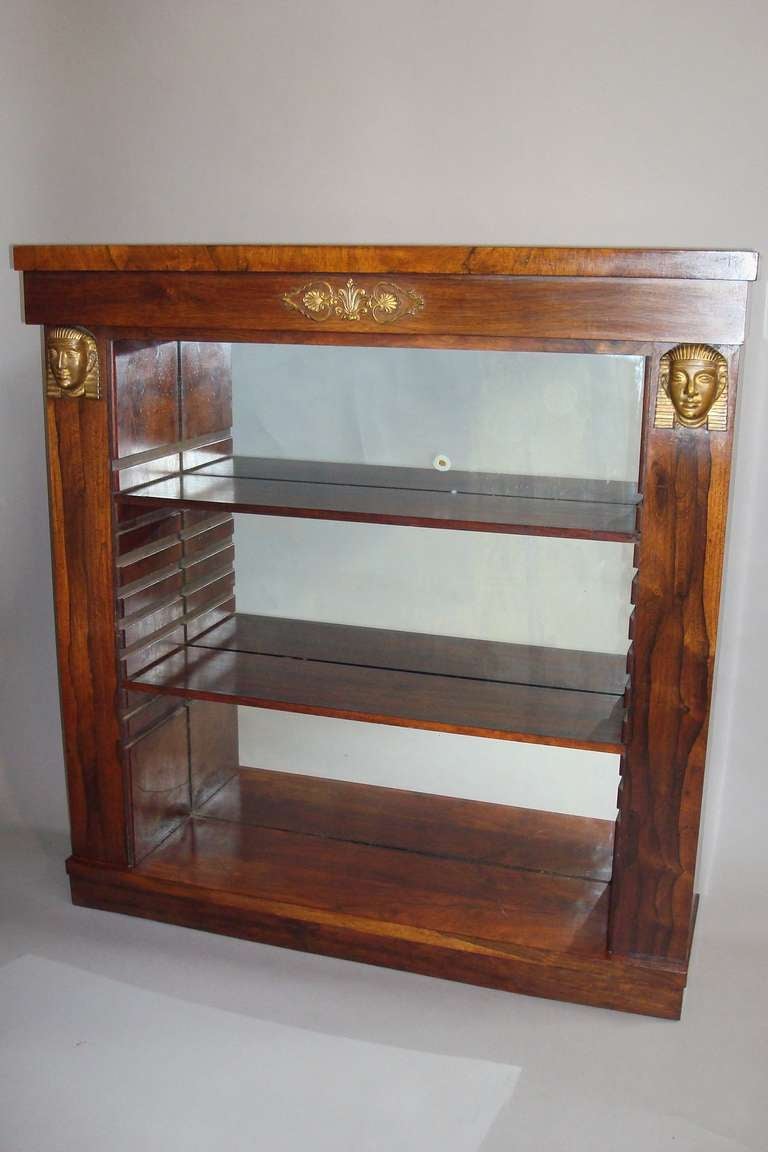 Good Pair of Regency Rosewood Open Bookcases/Side Cabinets