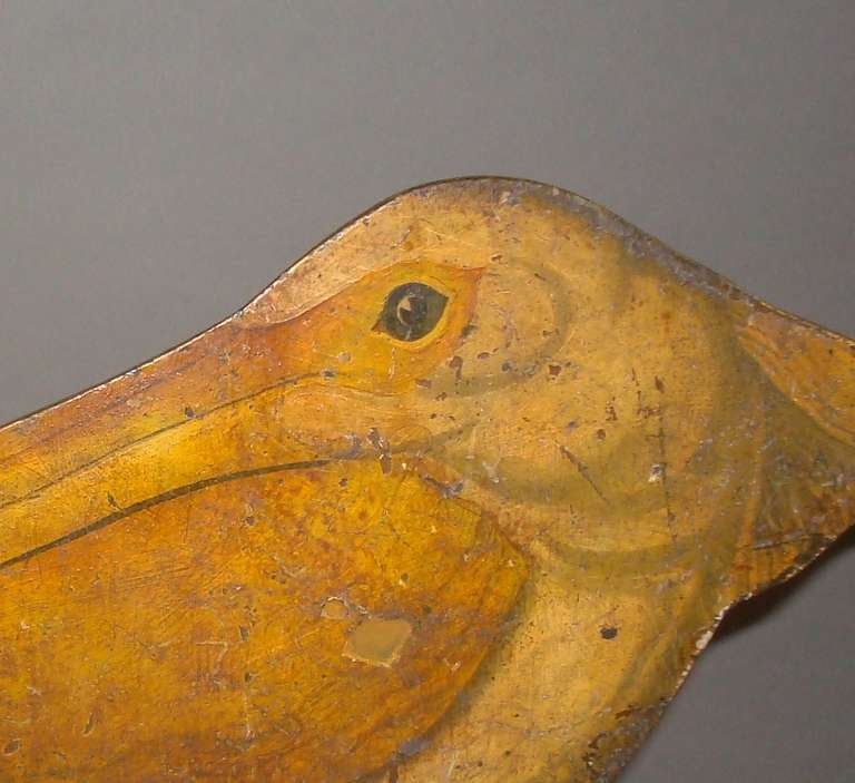 Interesting Late 19th Century Painted Pelican 3