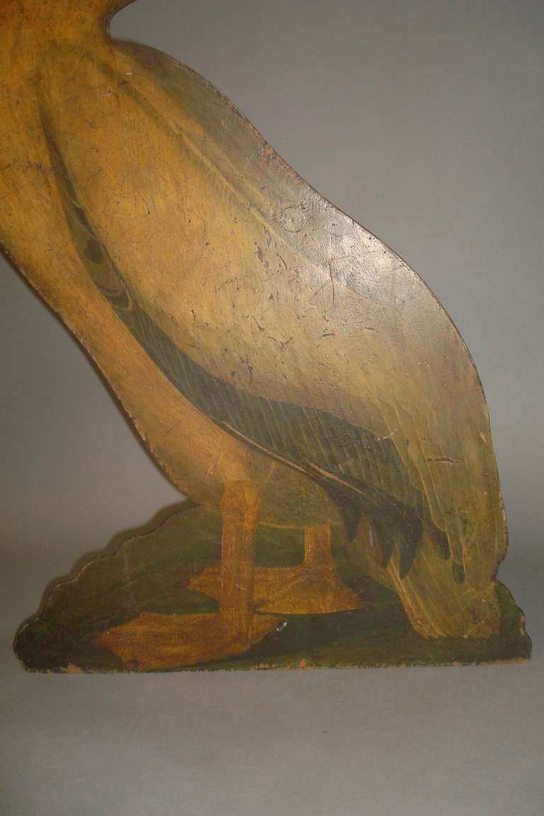 Interesting Late 19th Century Painted Pelican 2