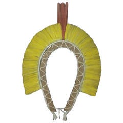 "Cocar" Amazon Headdress