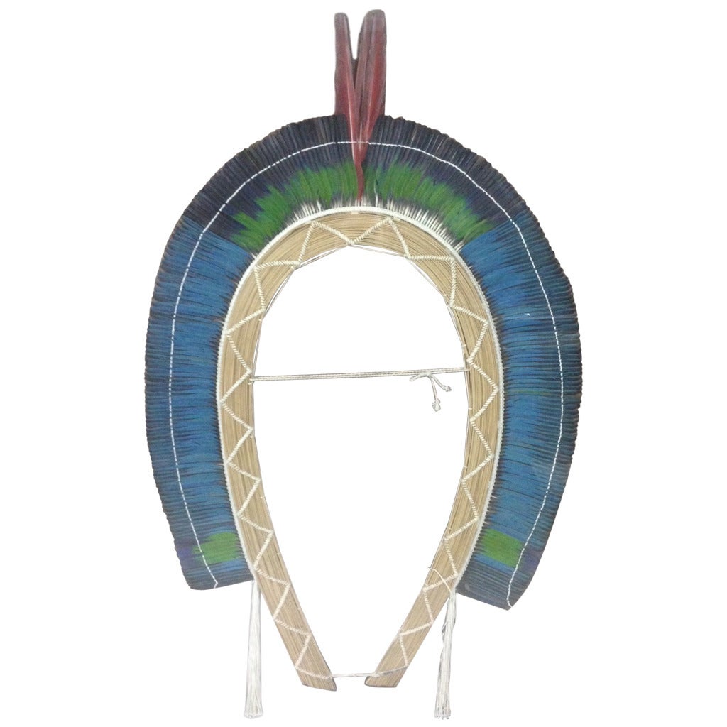 Large "Cocar" Amazon Headdress