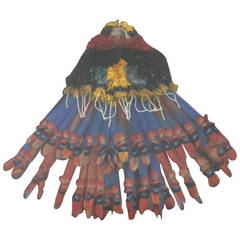 "Cocar" Amazon Headdress