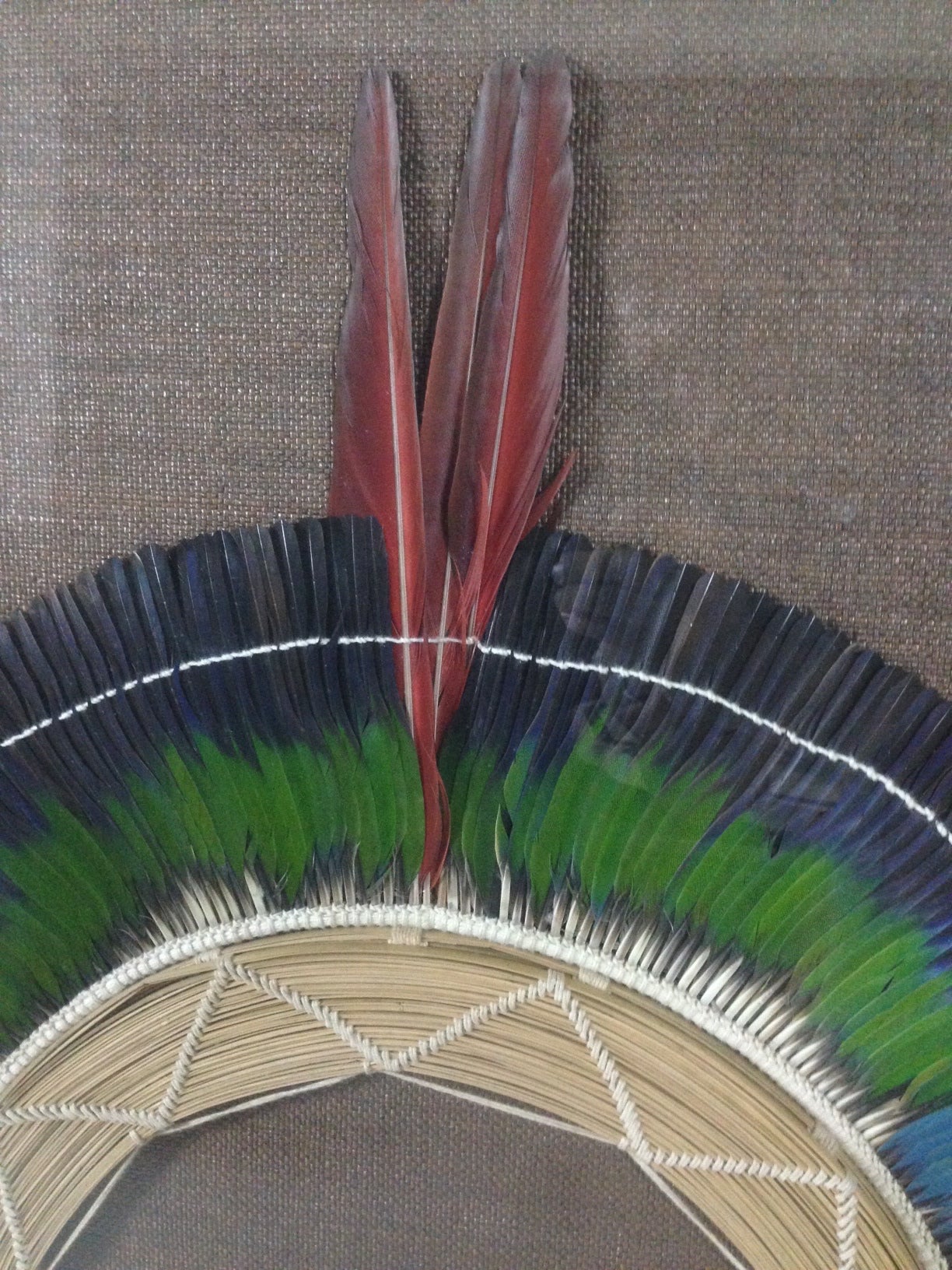 Brazilian Large 