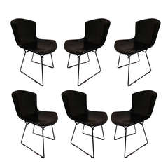 Set of Six Fiberglass Bertoia Chairs