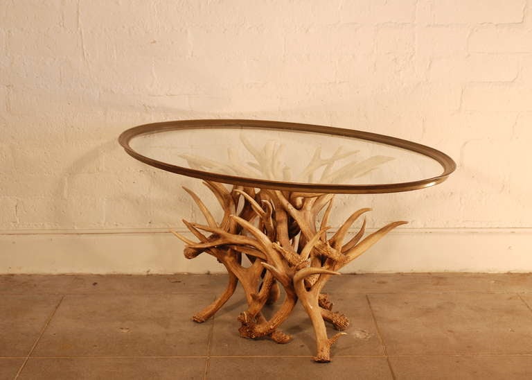 Antler Coffee Table With Brass and Glass Top In Good Condition In Palm Springs, CA