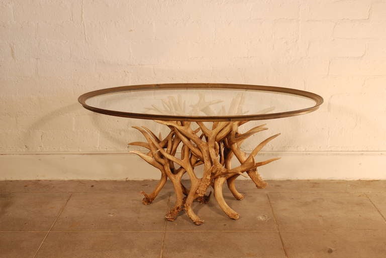 20th Century Antler Coffee Table With Brass and Glass Top