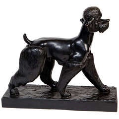 Bronze Poodle