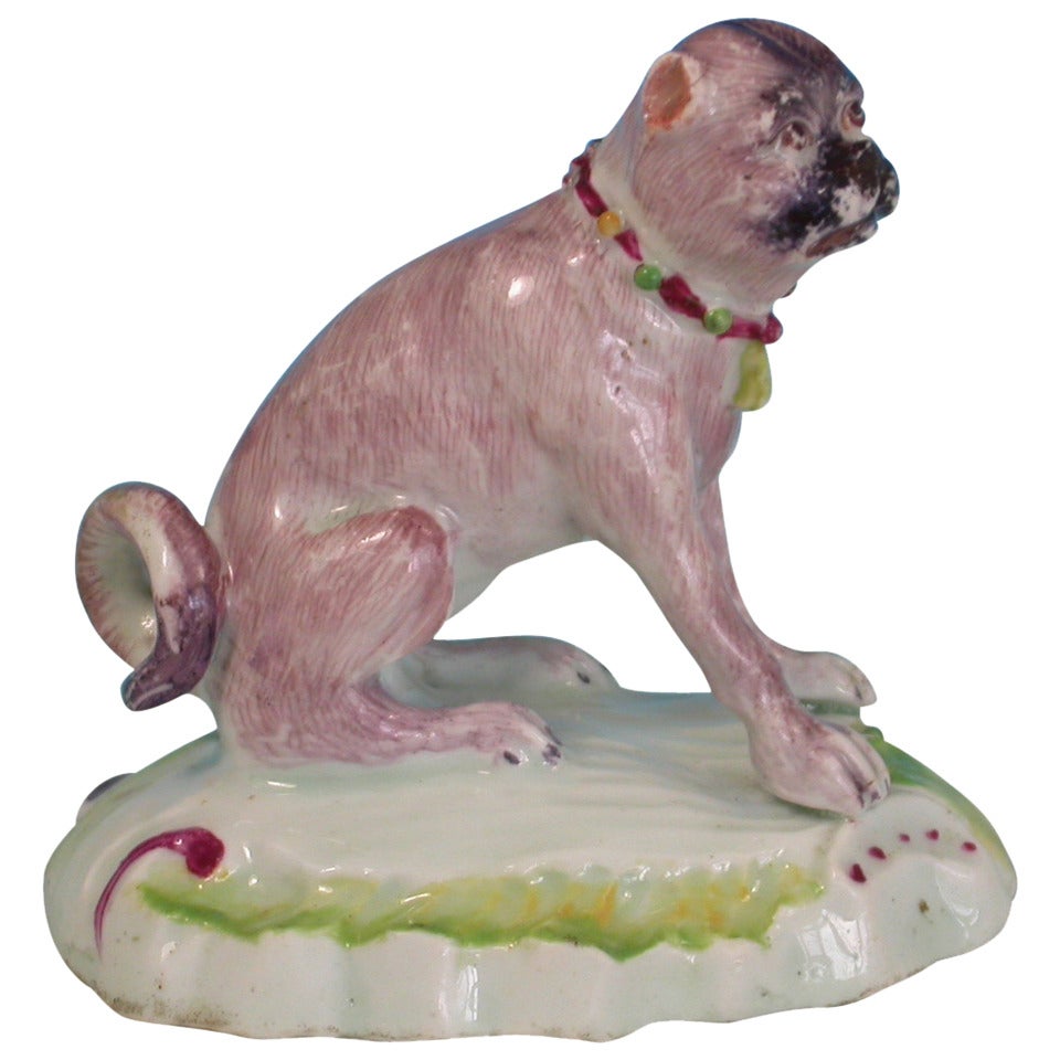 Duesbury Derby Model of Seated Pug Dog