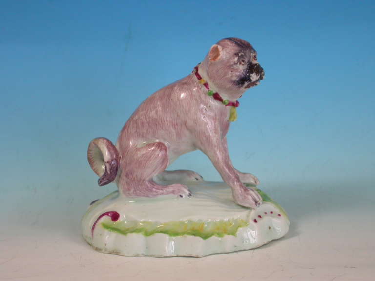 Duesbury Derby Model of Seated Pug Dog