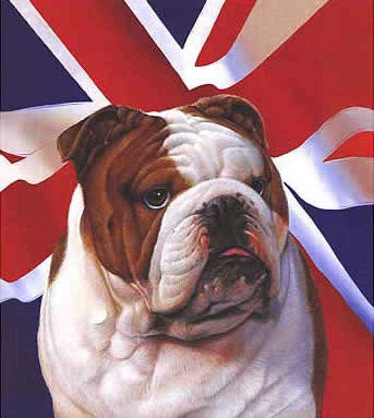 Victorian Silver & Eamel British Bulldog Vesta Case  4