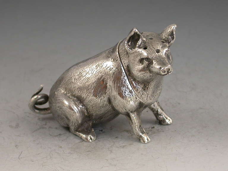 A good quality Edwardian novelty cast silver pepper made in the form of a pig sitting up on its hind legs, with pull off pierced head and curly tail.

By Henry Charles Freeman, London, 1904.

In good condition with no damage or