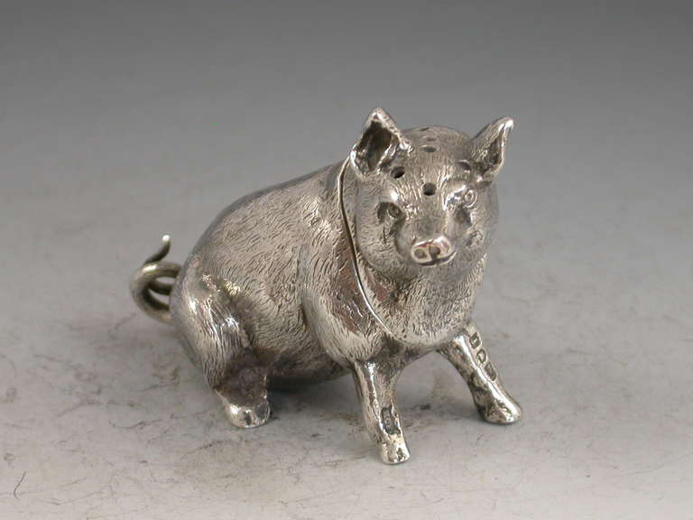 English Edwardian Novelty Antique Silver Pig Pepper