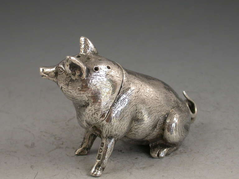 Edwardian Novelty Antique Silver Pig Pepper In Good Condition In Sittingbourne, Kent