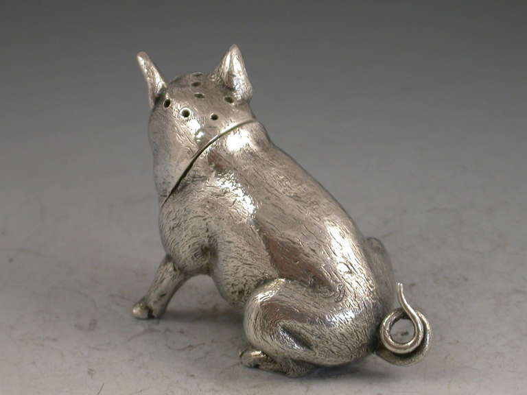 20th Century Edwardian Novelty Antique Silver Pig Pepper