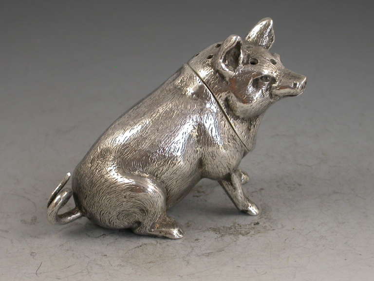 Edwardian Novelty Antique Silver Pig Pepper 1