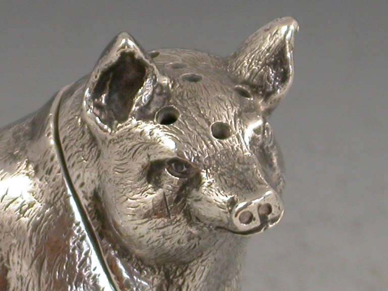 Edwardian Novelty Antique Silver Pig Pepper 2