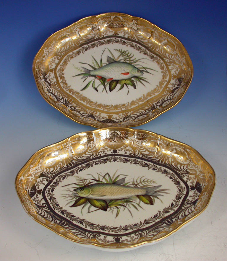 A very rare pair of early 19th century Derby ichthyological dessert dishes of lozenge form, painted in the central reserve with a chub and a roach within an elaborate gilded border. 

Red mark, circa 1815.