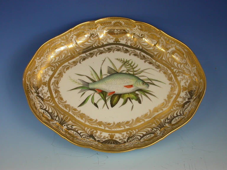 English Pair of Derby Ichthyological Fish Dessert Dishes