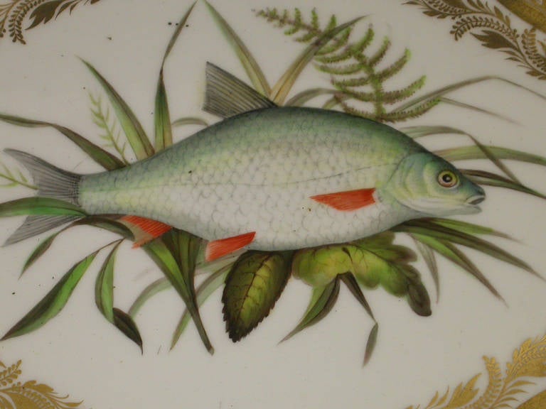 Pair of Derby Ichthyological Fish Dessert Dishes In Good Condition In Sittingbourne, Kent