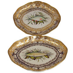 Pair of Derby Ichthyological Fish Dessert Dishes