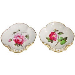 Pair Derby Shell Shaped Botanical Dishes