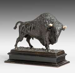 A powerful bronze of an American bison