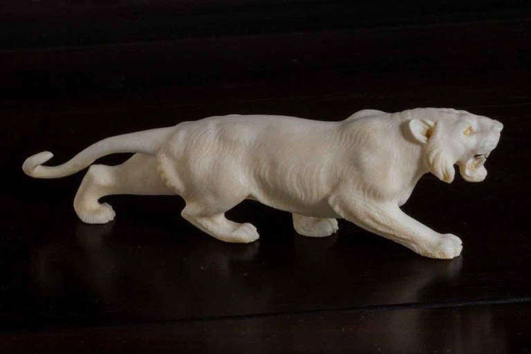 A Meiji period ivory Okimono of a stalking tiger with mother of pearl eyes.