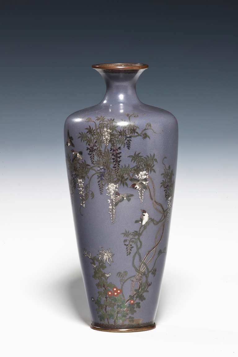 An antique purple ground Japanese cloisonne vase, Meiji period 
This slender vase has sparrows perched in branches of white and purple wisteria. 