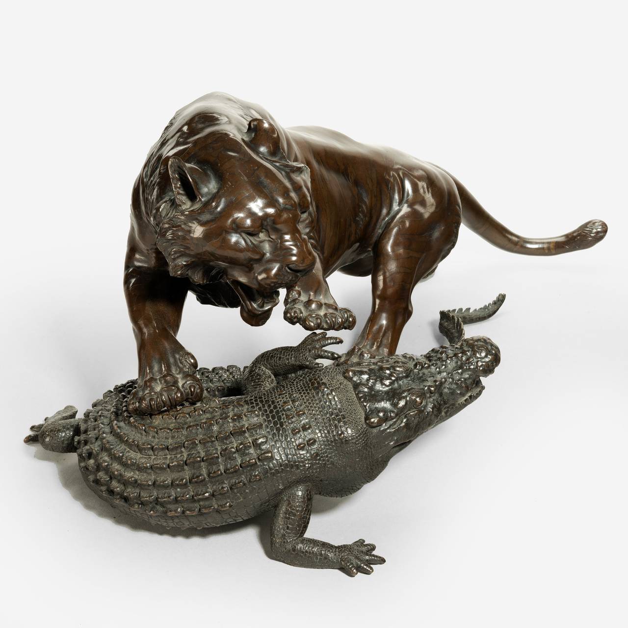 tiger eating alligator