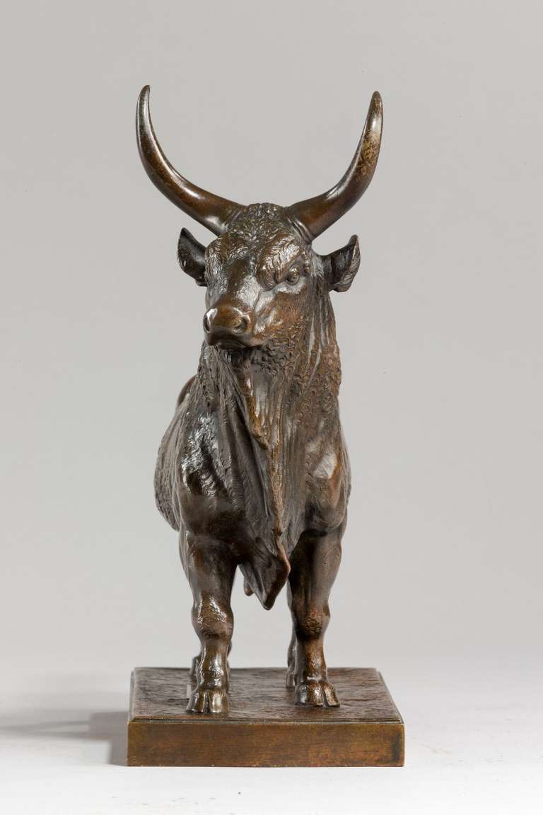Bronze Taureau de bronze