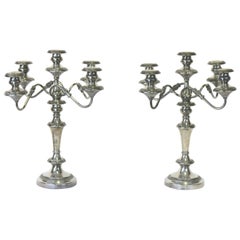 Antique 19th c. Pair Sheffield Sterling Hallmarked Large Candelabra-Provenance