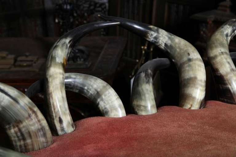 Victorian American Steer Horn Settee 19th Century Museum Piece For Sale 2