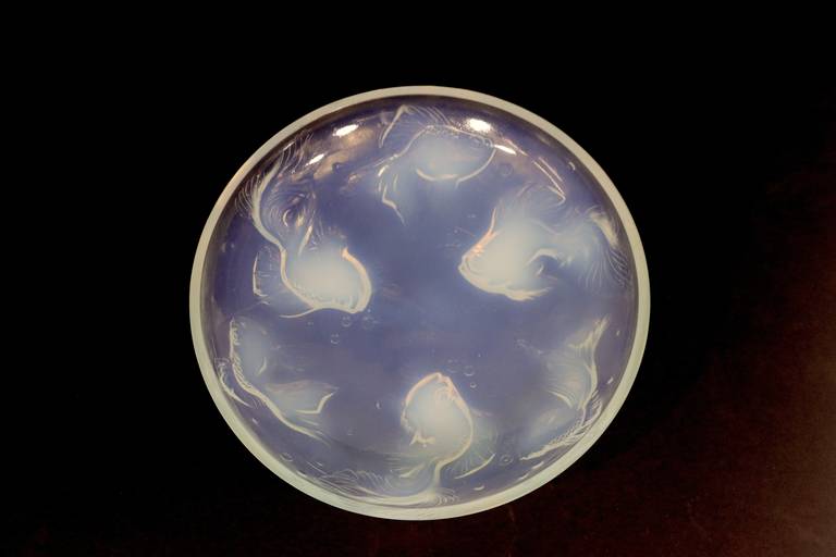 20th century design, a beautiful large opalescent frosted glass bowl with fish in high relief swimming in a circular formation around bowl. Stamped 