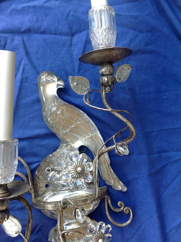 French Pair of Two Candle Silvered Maison Baguès Style Glass Parrot Sconces