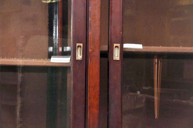 mahogany display case