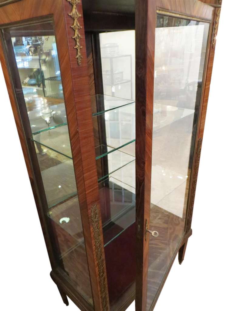 Mid-20th Century Ornate Bronze Curio Cabinet with Mirrored Back