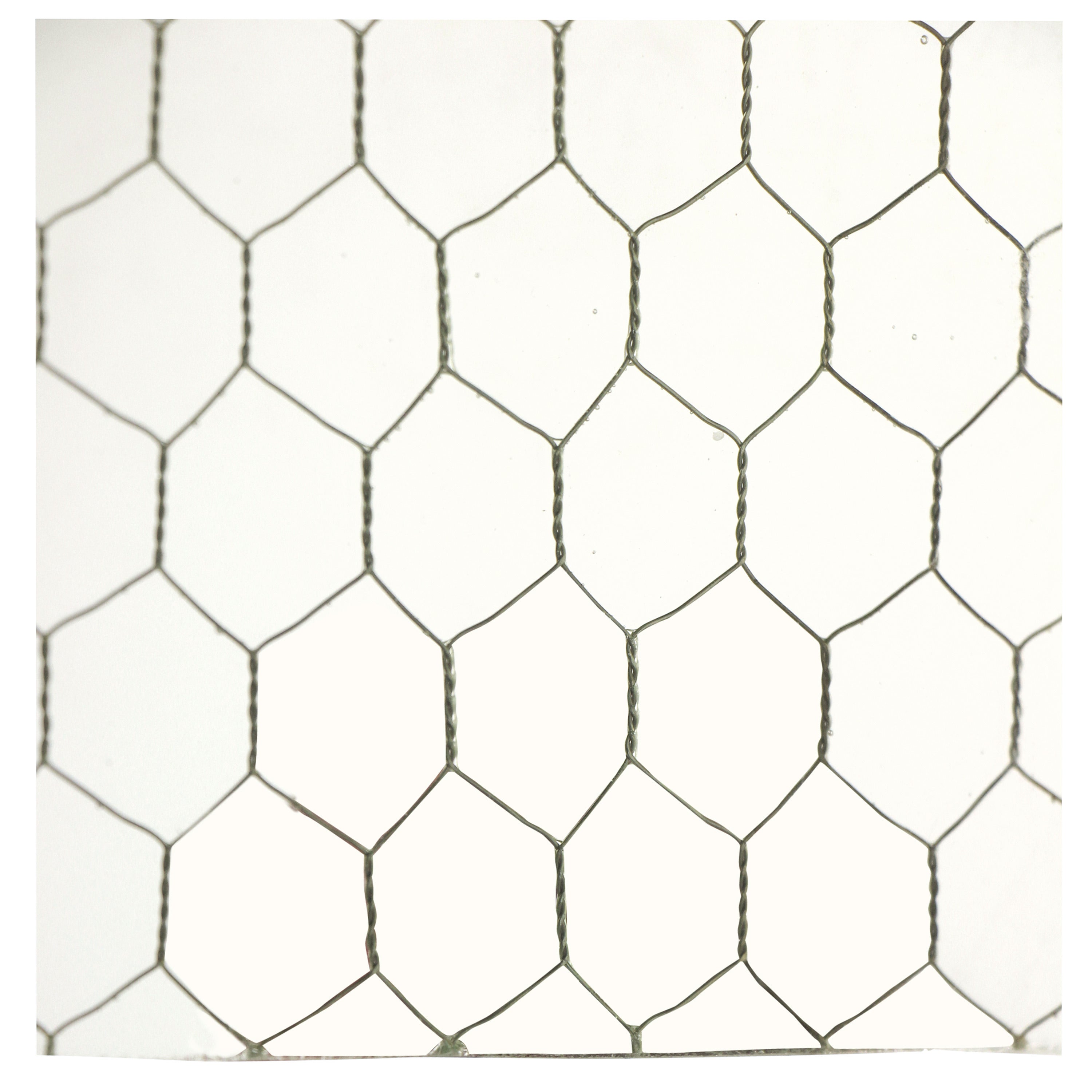 1920s Clear Industrial Chicken Wire Glass Grandes Feuilles Disponibles en vente