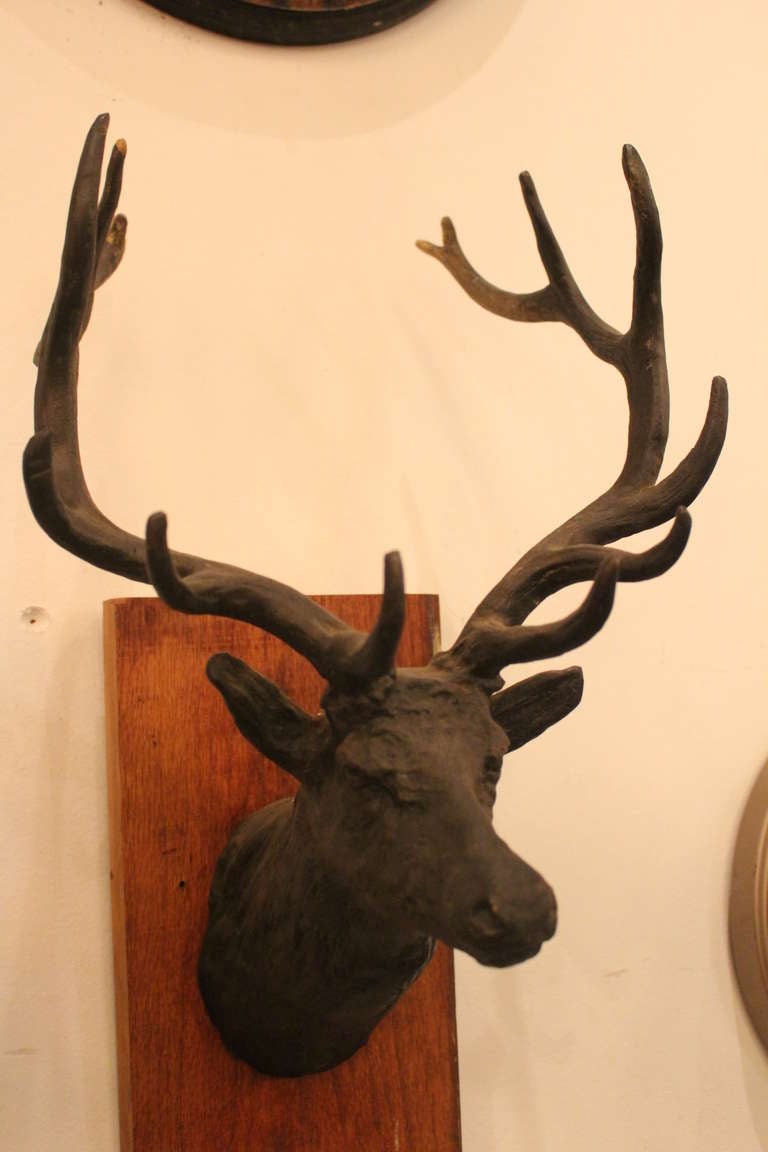 20th Century Bronze Trophy Elk Mount