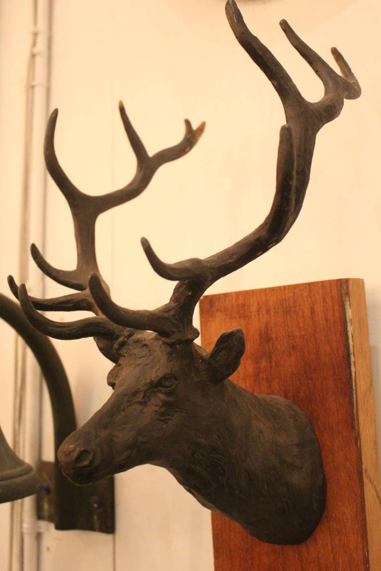 Solid bronze trophy elk mount. This piece was recovered from an Elk's Lodge in Waynesburg, PA.