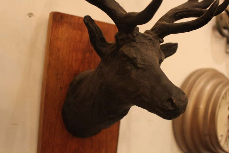 Bronze Trophy Elk Mount 2