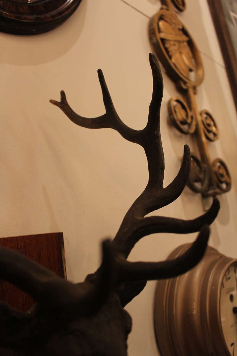 Bronze Trophy Elk Mount 4