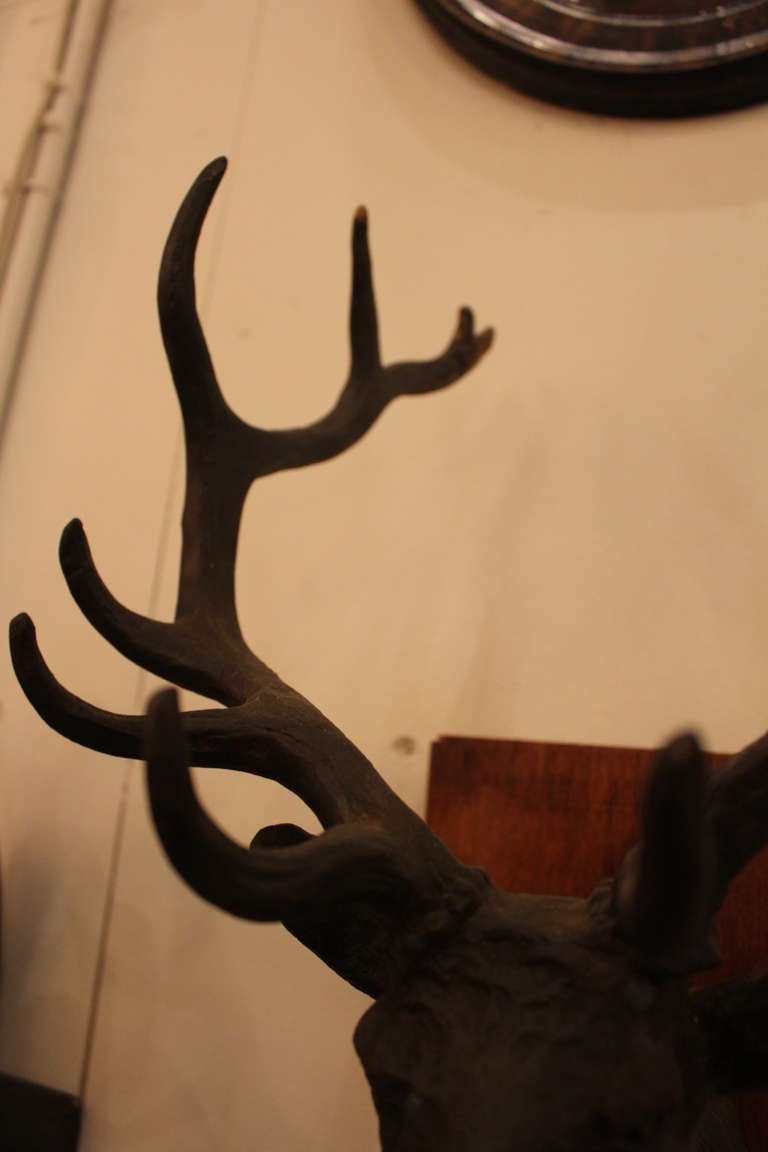 Bronze Trophy Elk Mount 5