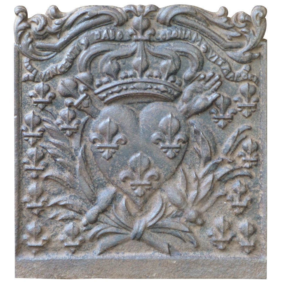 18/19th Century Arms of France Fireback