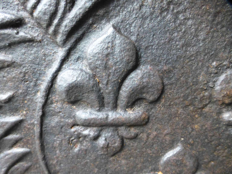 Iron 17th/18th Century Arms of France Fireback