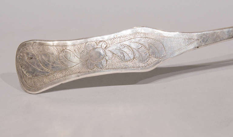 large silver spoon