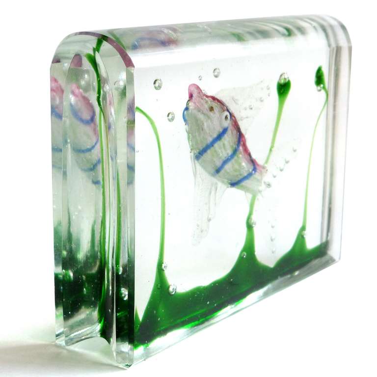 Cenedese Murano Pink Blue Stripe Fish Aquarium Block Italian Art Glass Sculpture