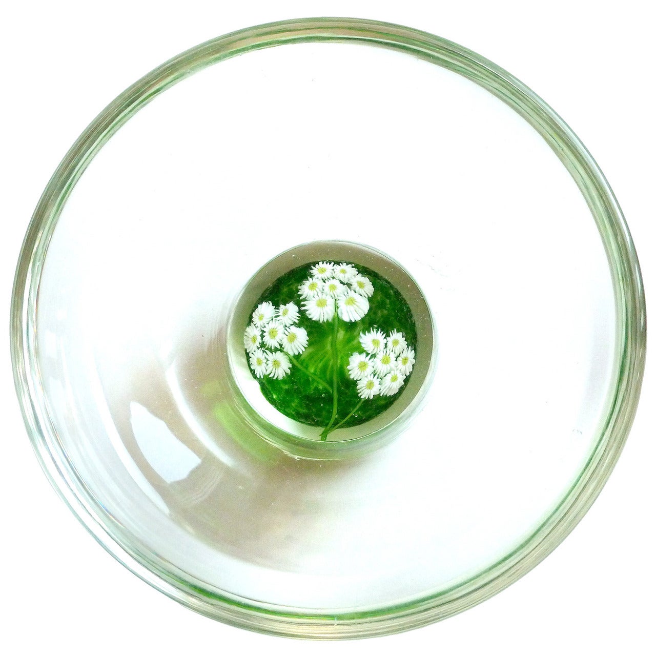 Fratelli Toso Murano Millefiori Wild Flowers Italian Art Glass Paperweight Bowl