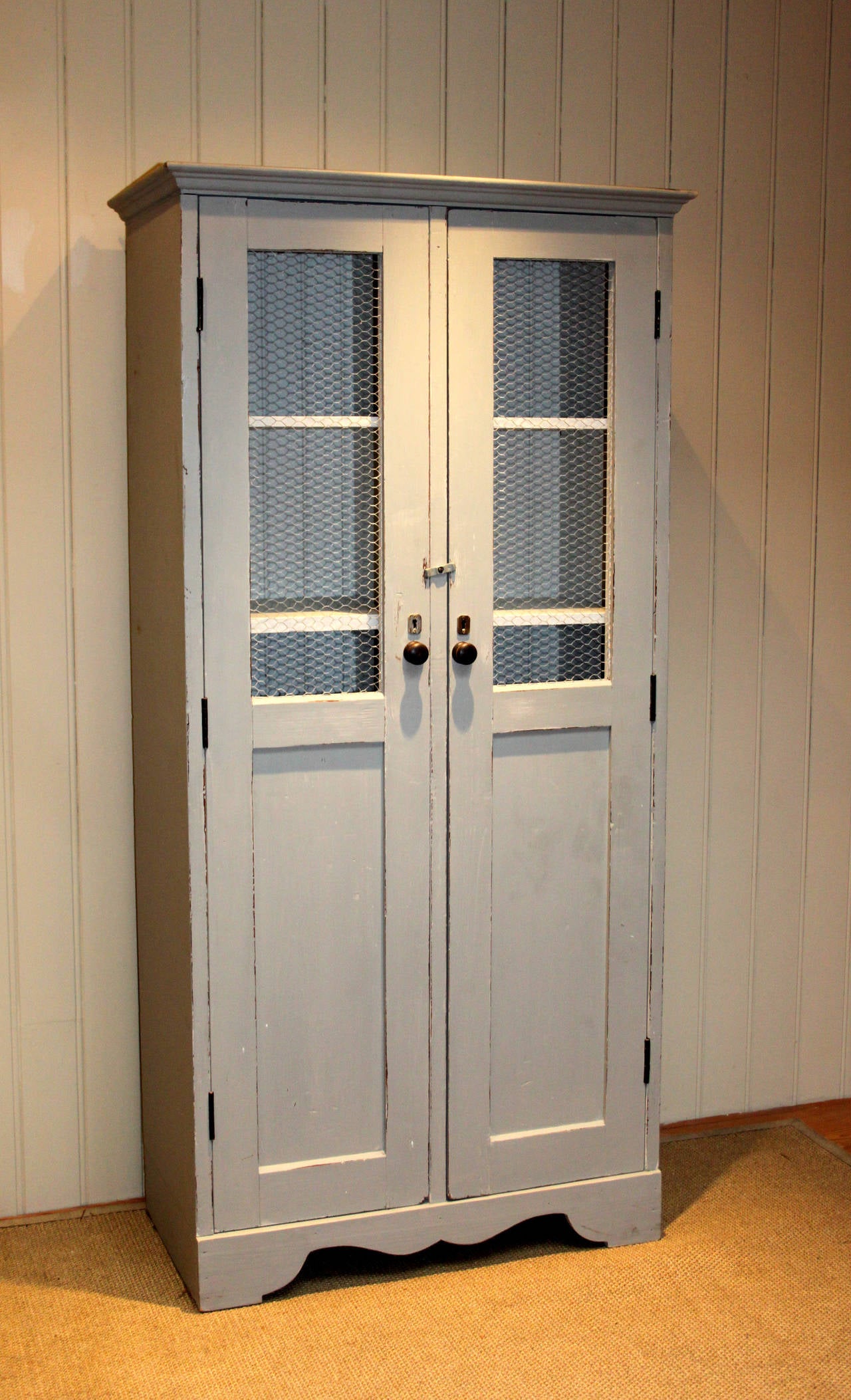 19th Century Painted Two Door Cabinet